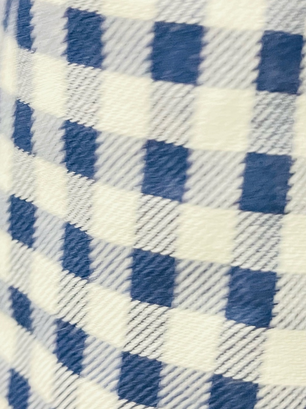 Cato Blue and White Gingham Pattern Fabric